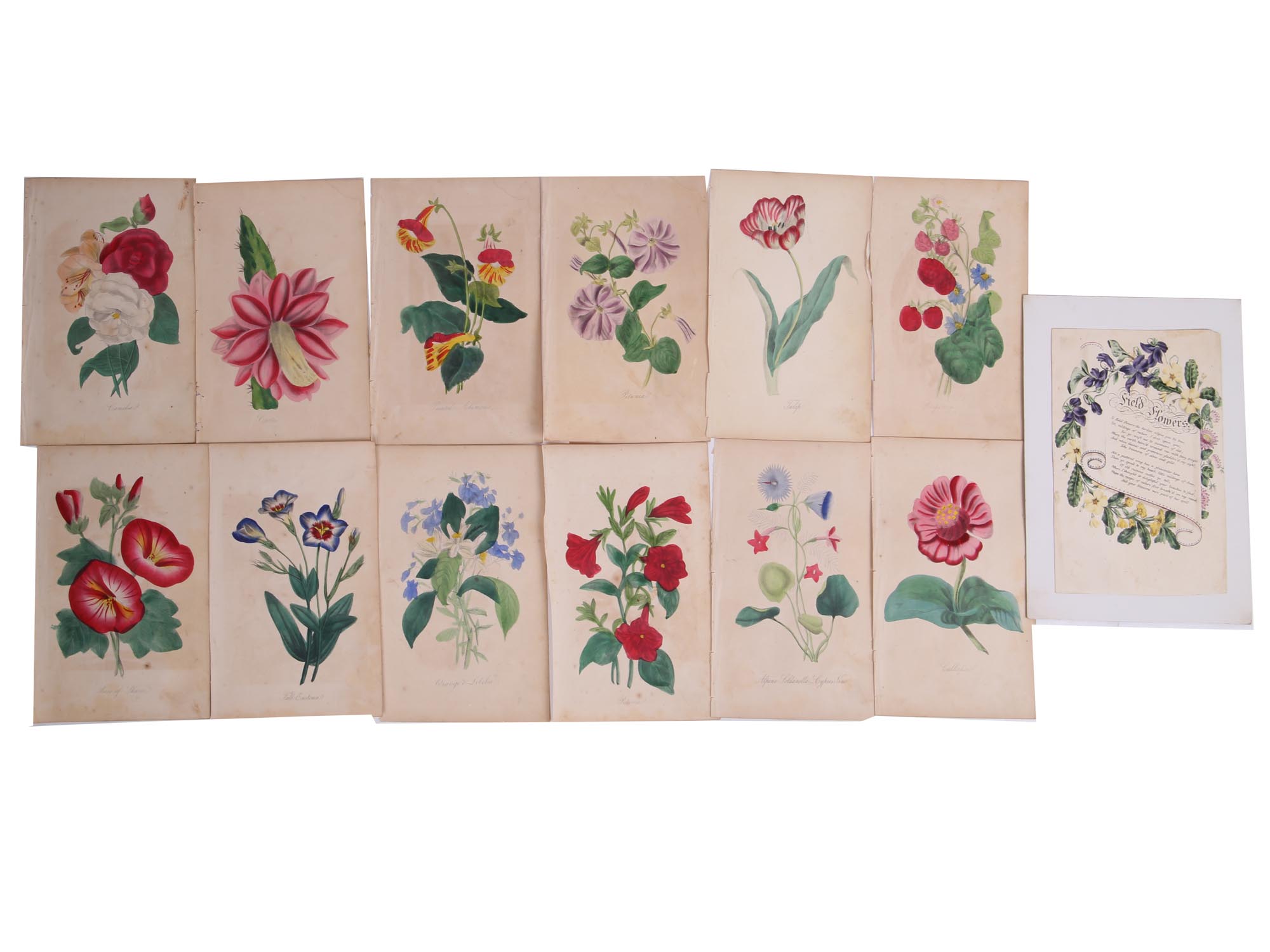 ANTIQUE 19 CENTURY HANDPAINTED ENGRAVINGS FLOWERS PIC-0